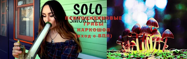 бошки Кущёвская