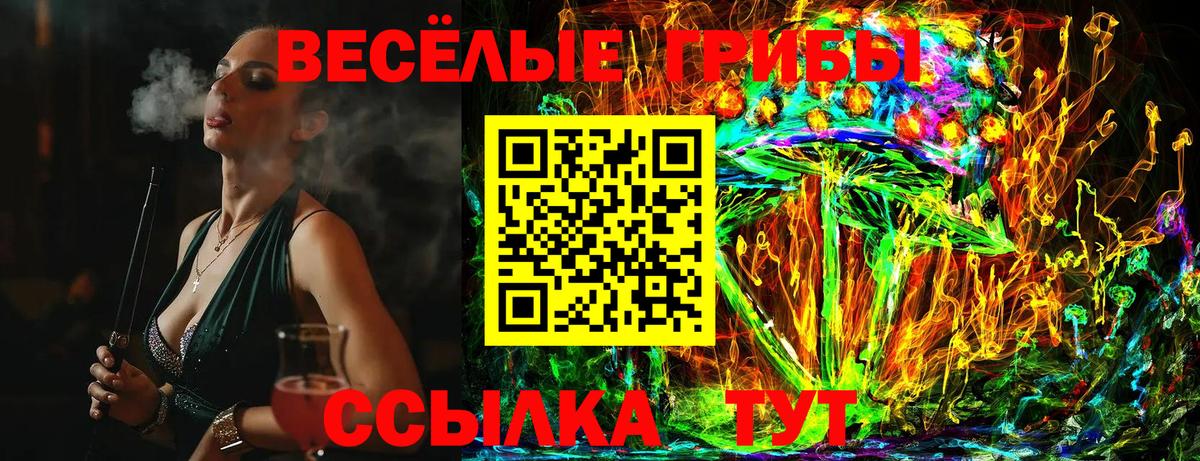 Галлюциногенные грибы мицелий  Вход с VPN  Псилоцибиновые грибы Cubensis  Салават 