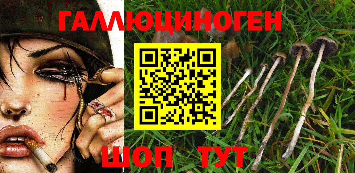 Псилоцибиновые грибы GOLDEN TEACHER Салават