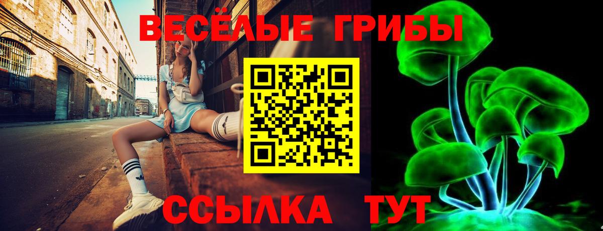 Псилоцибиновые грибы прущие грибы  купить наркоту  Галлюциногенные грибы GOLDEN TEACHER  Салават 